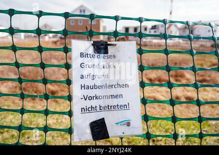 Walldorf, Deutschland. 28. Februar 2023. Ein Papier mit der Aufschrift „Bitte betreten Sie dieses Grundstück nicht aufgrund von Lerche“ hängt an einem Zaun in einem neuen Entwicklungsbereich. Zum Schutz der vom Aussterben bedrohten Kammbrühe werden die Katzen in Teilen von Walldorf (Rhein-Neckar-Bezirk) ab April wieder „Hausarrest“ erhalten. Kredit: Uwe Anspach/dpa/Alamy Live News Stockfoto