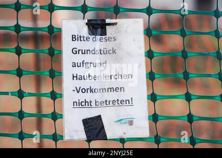 Walldorf, Deutschland. 28. Februar 2023. Ein Papier mit der Aufschrift „Bitte betreten Sie dieses Grundstück nicht aufgrund von Lerche“ hängt an einem Zaun in einem neuen Entwicklungsbereich. Zum Schutz der vom Aussterben bedrohten Kammbrühe werden die Katzen in Teilen von Walldorf (Rhein-Neckar-Bezirk) ab April wieder „Hausarrest“ erhalten. Kredit: Uwe Anspach/dpa/Alamy Live News Stockfoto