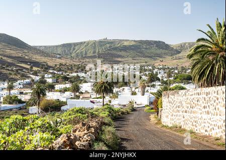 Haria-Tal mit Palmen und weißen Häusern, erstaunliche Landschaft, Lanzarote, Kanarische Insel Stockfoto