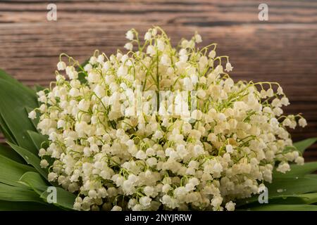 Ein Strauß von Lilien des Tals auf einem hölzernen Hintergrund, Frühlingsblumen Hintergrund, selektiver Fokus Stockfoto