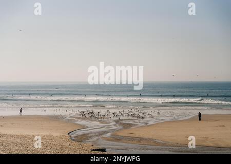 Praia do Carneiro, Fluss Douro in Porto, Portugal. Hochwertiges Foto Stockfoto