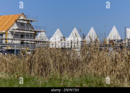 BOXTEL - in einem Wohngebiet im Bau befindliche Häuser. Die Provinz Nordbrabant gewährt vorübergehend keine Genehmigungen mehr für Projekte in den Bereichen Infrastruktur, Landwirtschaft, Industrie, Wohnungsbau und Nachhaltigkeit, wenn sie Stickstoffeffekte in Natura2000 Gebieten haben. ANP ROBIN VAN LONKHUIJSEN niederlande raus - belgien raus Stockfoto