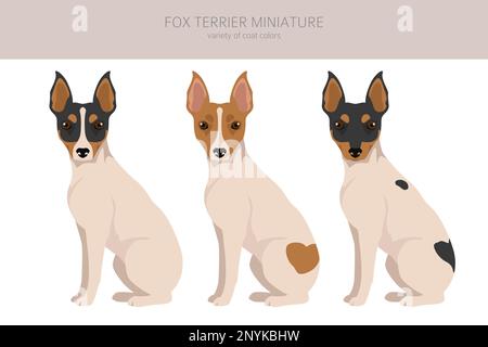 Miniatur-Clipart von Fox Terrier. Verschiedene Fellfarben eingestellt. Vektorgrafik Stock Vektor