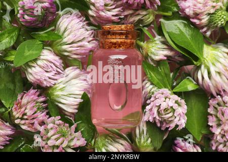 Wunderschöne Kleeblümchen und eine Flasche ätherisches Öl im Wasser, Draufsicht Stockfoto