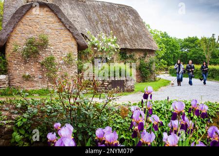 Ferienhaus mit Reetdach, Kerhinet Dorf, natürlichen regionalen Park von La Brière oder Grande Brière, Loire-Atlantique, Pays de Loire, Frankreich Stockfoto