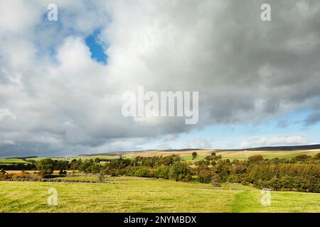 Blick von Holwick über Teesdale nach Bowlees, Newbiggin und Ettersgill mit Swinhope Head, Westernhope Moor und Middleton Common in der Ferne, Teesdale Stockfoto