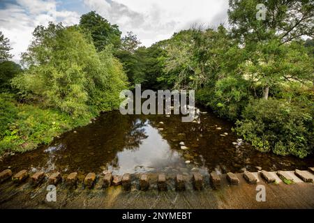 Huntshield Ford on the River trägt sich in der St. John's Chapel mit Sprungsteinen, während das Wasser am Fluss niedrig ist, County Durham, Weardale. Stockfoto