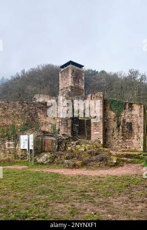 Ruinen von Hinterburg, auch Alt-Schadeck Schloss, in der Stadt Neckarsteinach, Stadt der vier Schlösser, Hessen, Deutschland, Europa. Stockfoto