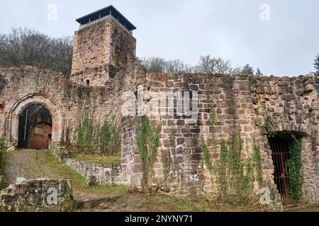 Ruinen von Hinterburg, auch Alt-Schadeck Schloss, in der Stadt Neckarsteinach, Stadt der vier Schlösser, Hessen, Deutschland, Europa. Stockfoto