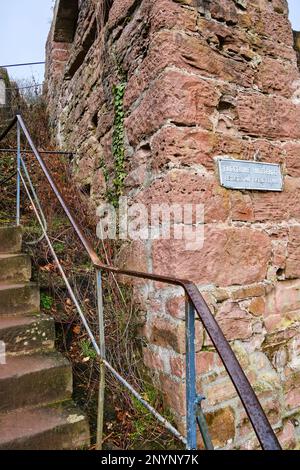 Ruinen von Hinterburg, auch Alt-Schadeck Schloss, in der Stadt Neckarsteinach, Stadt der vier Schlösser, Hessen, Deutschland, Europa. Stockfoto