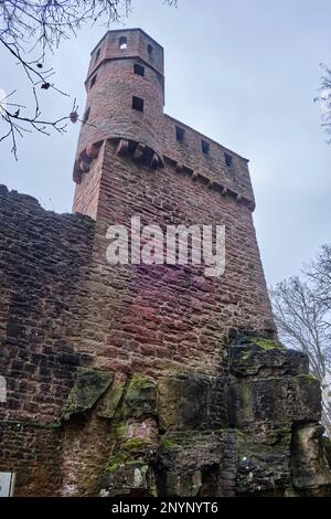 Ruinen von Schloss Schadeck, auch Schloss Schwalbennest, in der Stadt Neckarsteinach, Stadt der vier Schlösser, Hessen, Deutschland, Europa. Stockfoto