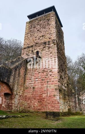 Ruinen von Hinterburg, auch Alt-Schadeck Schloss, in der Stadt Neckarsteinach, Stadt der vier Schlösser, Hessen, Deutschland, Europa. Stockfoto