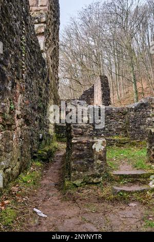 Ruinen von Hinterburg, auch Alt-Schadeck Schloss, in der Stadt Neckarsteinach, Stadt der vier Schlösser, Hessen, Deutschland, Europa. Stockfoto