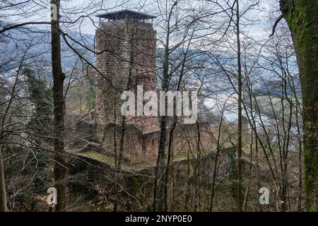 Ruinen von Hinterburg, auch Alt-Schadeck Schloss, in der Stadt Neckarsteinach, Stadt der vier Schlösser, Hessen, Deutschland, Europa. Stockfoto