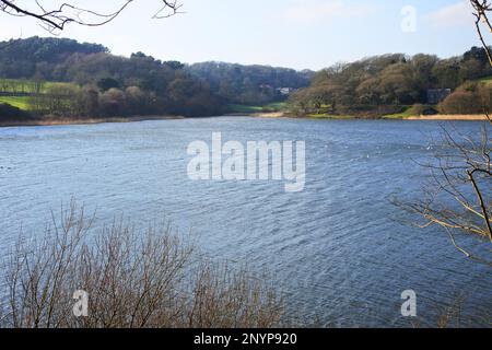 LOE Pool, in der Nähe von Helston, Cornwall, Großbritannien - John Gollop Stockfoto