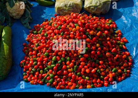 Frische rote, orangefarbene, grüne Chilischoten zum Verkauf auf dem lokalen Markt Stockfoto