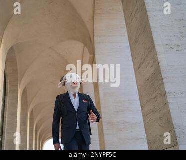 Halber Körper eines Geschäftsmannes mit Schafkopf, der schnell zur Arbeit geht Stockfoto