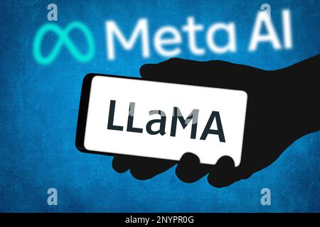 Llama – großes Sprachmodell Meta-KI von Meta-Plattformen Stockfoto