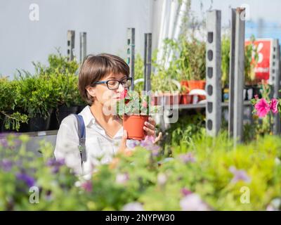 Die Frau wählt Pflanzen für die Landschaftsgestaltung aus. Außenregale mit Setzlingen, Blütenpflanzen und Samen im Blumengeschäft. Landwirtschaftsmarkt unter freiem Himmel. Stockfoto