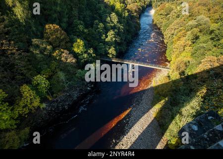 Die langen Schatten des Victorain Lambley Viaduct überqueren den Fluss South Tyne mit Blick auf den Fluss und eine kleine Fußgängerbrücke über ein bewaldetes Tal. Stockfoto