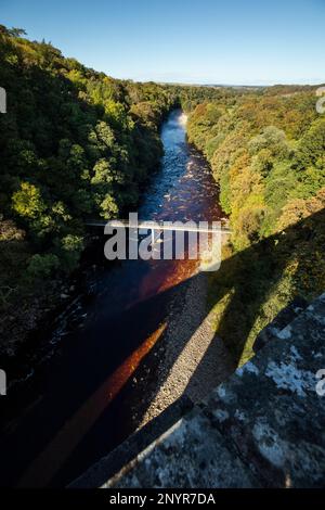 Die langen Schatten des Victorain Lambley Viaduct überqueren den Fluss South Tyne mit Blick auf den Fluss und eine kleine Fußgängerbrücke über ein bewaldetes Tal. Stockfoto