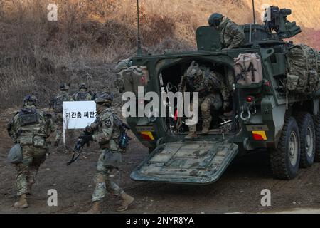 Ein Infanterie-Team, das dem 1. Bataillon, dem 17. Infanterie-Regiment, dem 2. Stryker-Brigaden-Kampfteam und der 2. Infanterie-Division zugeteilt wurde, verlässt ein Kampffahrzeug von M1126 Stryker während einer Truppenübung am 13. Januar 2023 im Twin Bridges Training Area in Südkorea während der koreanischen Rotationstruppe 12. Stockfoto