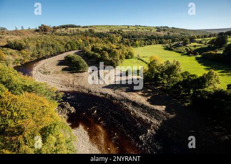 Eine Biegung im Fluss zeigt das Torfwasser des Flusses South Tyne mit Wäldern und Weiden, ein breites Kiesbein, von Lambley Viaduct, Northumberland Stockfoto