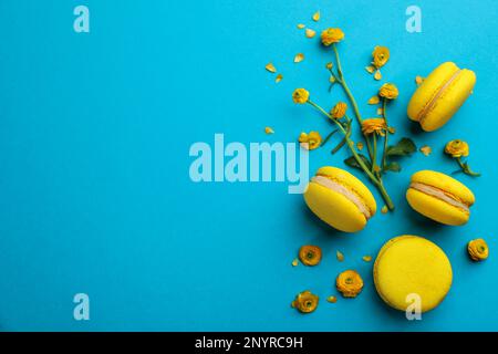 Flache Laienzusammensetzung mit gelben Makronen und Blüten auf hellblauem Hintergrund. Platz für Text Stockfoto