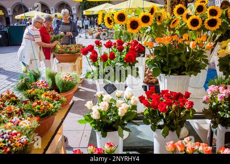 Frauen kaufen, stall Blumen am Main Market Square Rynek Glowny, Krakau, Polen Stockfoto