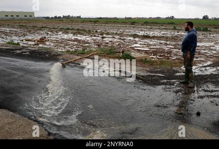 Sa Pobla, Spanien. 02. März 2023. Bauer Guillem leitet Wasser von seinem überfluteten Kartoffelfeld nach heftigen Regenfällen. Kredit: Clara Margais/dpa/Alamy Live News Stockfoto