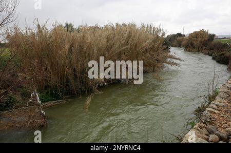 Sa Pobla, Spanien. 02. März 2023. Der Torrent de Buger ist nach heftigen Regenfällen voller Wasser. Kredit: Clara Margais/dpa/Alamy Live News Stockfoto