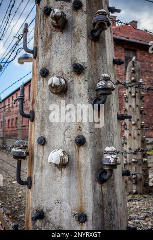 Detail der Elektrozaun, KZ. Auschwitz. Polen Stockfoto