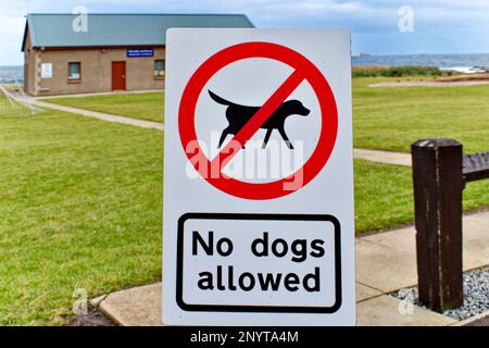 KEINE HUNDE ERLAUBT SCHILD vor Spielfeldern für Kinder Stockfoto