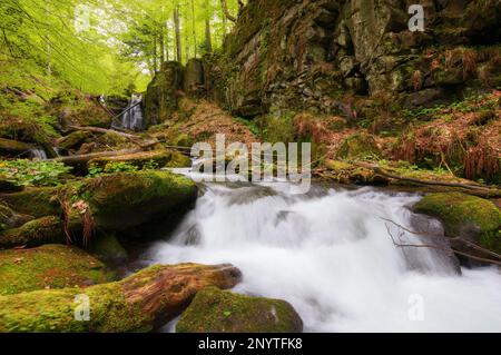 Wasserfall am Bach zwischen Felsen. Naturlandschaft in karpaten Stockfoto