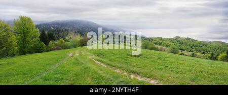 bewölkte grüne Berglandschaft im Frühling. Bäume auf den grünen Hügeln Stockfoto