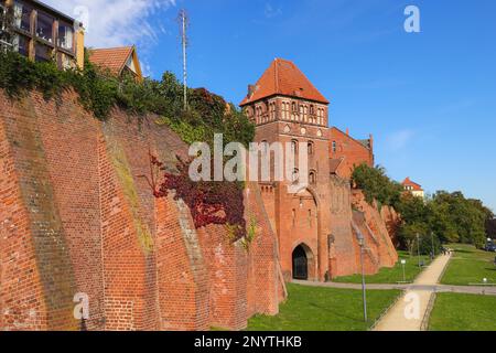 Stadtmauer mit Elbtor in Tangermünde, Sachsen-Anhalt Stockfoto