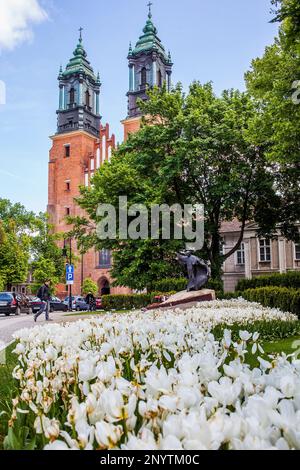 Kathedrale in Ostrow Tumski Island, Poznan, Polen. Stockfoto