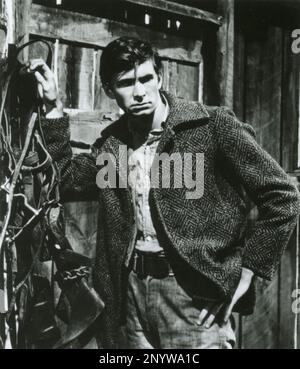 Der amerikanische Schauspieler Anthony Perkins im Film The Lonely man, USA 1957 Stockfoto