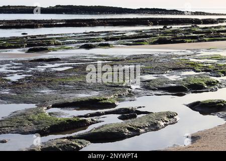 Blick auf eine übereinander gestufte felsige Küste bei Sonnenschein mit glitzernden schwarzen Felsen und Felsenbecken Stockfoto