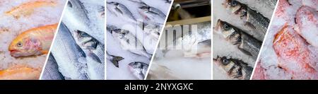 Collage frischer Fisch, Forelle, Lachs, dorado, Seebarsch. Kreatives Layout aus Meeresfrüchten. Stockfoto