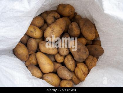 Frische Kartoffeln in einer wiederverwendbaren Verpackung. Draufsicht. Stockfoto