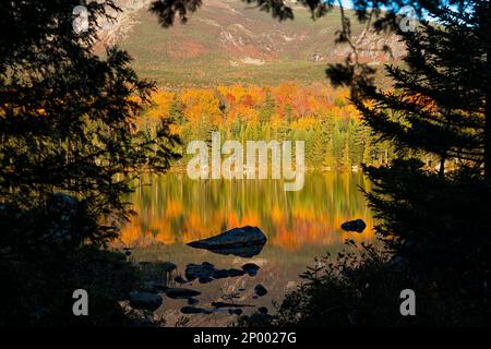 Frühmorgendliches Sonnenlicht reflektiert die Landschaft des Sandbachteichs im baxter State Park maine. Stockfoto