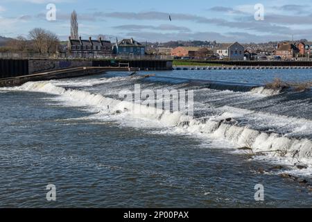 Trews Wehr im Fluss exe in Exeter Stockfoto