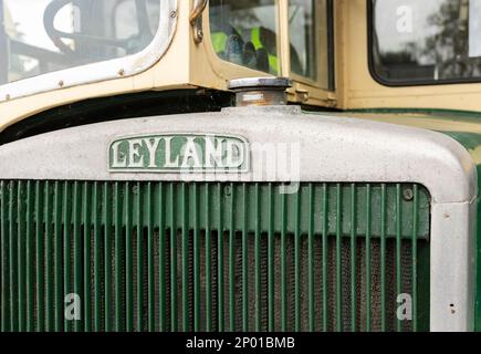 Tenterden, Kent, vereinigtes Königreich, 21, August, 2022 mehrere Oldtimer-Personenbusse sind ausgestellt Stockfoto