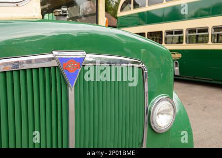 Tenterden, Kent, vereinigtes Königreich, 21, August, 2022 mehrere Oldtimer-Personenbusse sind ausgestellt Stockfoto