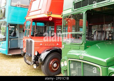 Tenterden, Kent, vereinigtes Königreich, 21, August, 2022 mehrere Oldtimer-Personenbusse sind ausgestellt Stockfoto