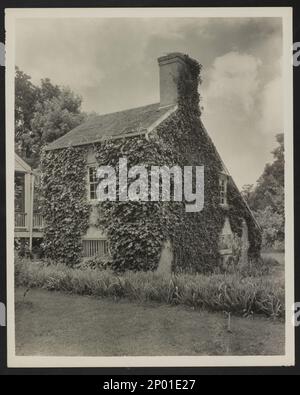 Die Briars, Natchez vic., Adams County, Mississippi. Carnegie Survey of the Architecture of the South (Carnegie-Umfrage zur Architektur des Südens). USA Mississippi Adams County Natchez vic, Vines, Chimneys, Bungalows. Stockfoto