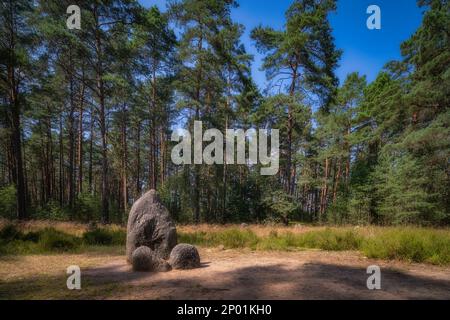 Zentrale Steine von Stein kreist bei Odry im Wald, alte Grab- und Gotteshäuser. Archäologisches und Naturschutzgebiet der UNESCO, Pommern, Polen Stockfoto