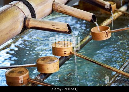 Wasser aus einem Chōzubachi (Wasserschiff) in Wasserschnecken am Yasaka-Schrein, Kyoto, Japan Stockfoto