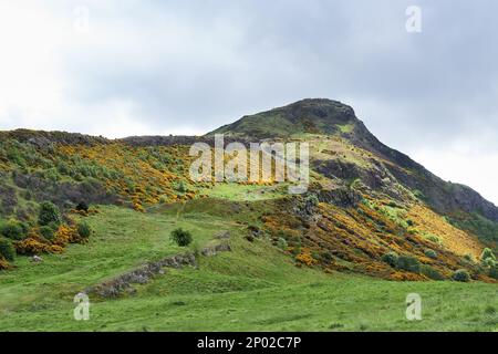 Arthur's Seat aus Salisbury Crags, Holyrood Park, Edinburgh, Schottland, Großbritannien Stockfoto